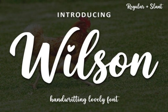 Wilson Font